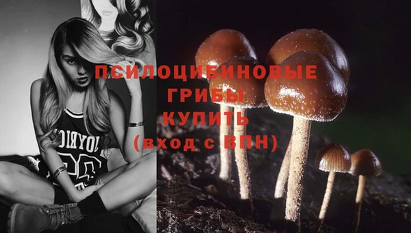 синтетический гашиш Алексеевка