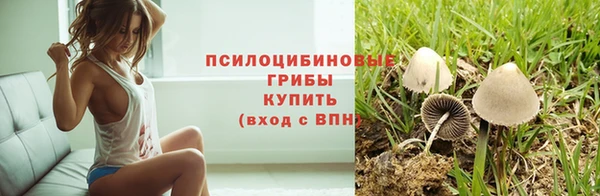 синтетический гашиш Алексеевка