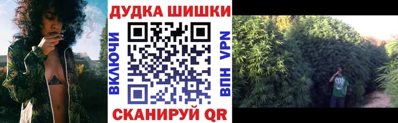 Бошки марихуана план  МЕГА зеркало  Сосновоборск  купить наркотик 